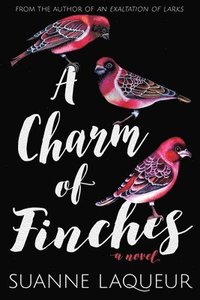bokomslag Charm of Finches