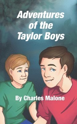 bokomslag Adventures of the Taylor Boys