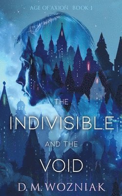 bokomslag The Indivisible and the Void