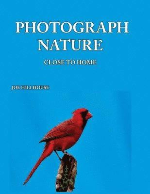 Photograph Nature 1