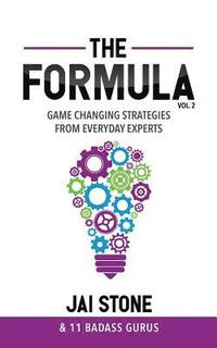 bokomslag The Formula: Game Changing Strategies from Everyday Experts, Volume 2