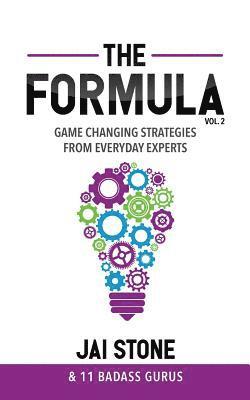 bokomslag The Formula: Game Changing Strategies from Everyday Experts, Volume 2