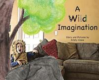 bokomslag Wild Imagination