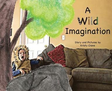 bokomslag Wild Imagination
