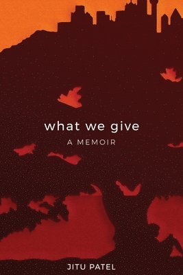 bokomslag What We Give: A Memoir