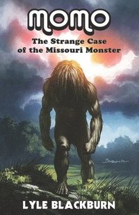 bokomslag Momo