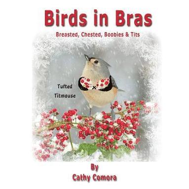 bokomslag Birds in Bras: Breasted, Chested, Boobies & Tits