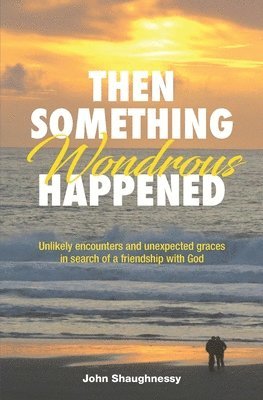 bokomslag Then Something Wondrous Happened: Unlikely encounters and unexpected graces in search of a friendship with God
