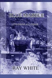 bokomslag Blue Marble: Love Bears All Things