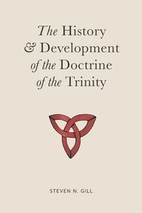 bokomslag The History & Development of the Doctrine of the Trinity
