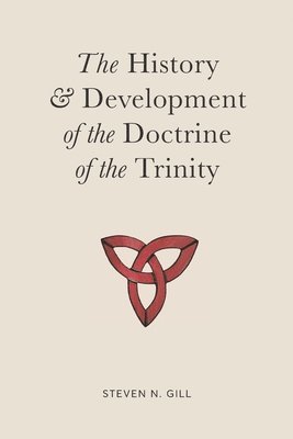 bokomslag The History & Development of the Doctrine of the Trinity