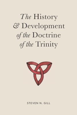Steven Gill - History & Development of the Doctrine of the Trinity, Häftad