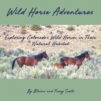 bokomslag Wild Horse Adventures: Exploring Colorado's wild horses in their natural habitat