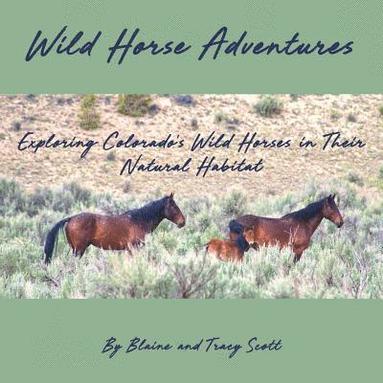 bokomslag Wild Horse Adventures: Exploring Colorado's wild horses in their natural habitat