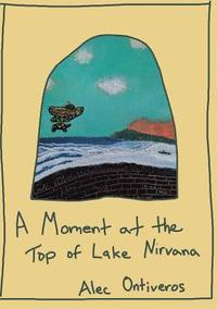bokomslag A Moment at the Top of Lake Nirvana