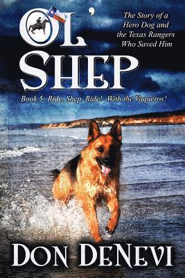 Don DeNevi - Ol' Shep: Book 5: Ride, Shep, Ride!, Häftad
