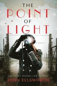 bokomslag The Point of Light