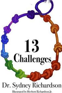 bokomslag 13 Challenges