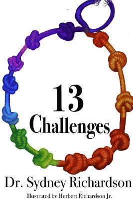 bokomslag 13 Challenges