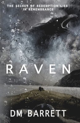 bokomslag Raven