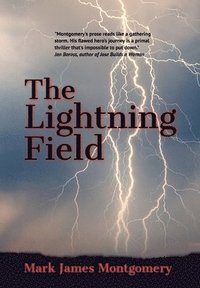 bokomslag The Lightning Field