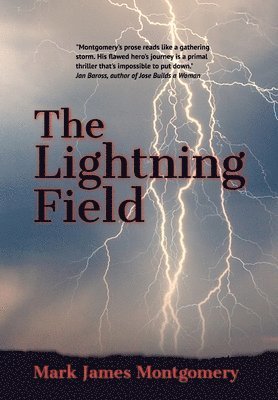 The Lightning Field 1