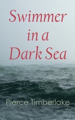 Swimmer in a Dark Sea 1
