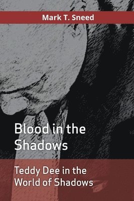 bokomslag Teddy Dee in the World of Shadows