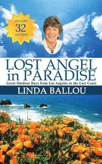 bokomslag Lost Angel in Paradise