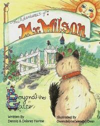 bokomslag The Adventures of Mr Wilson