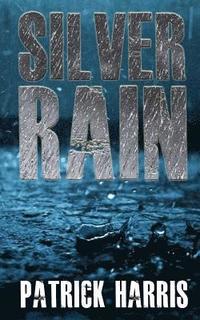 bokomslag Silver Rain