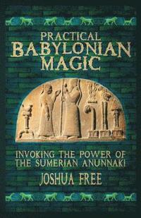 bokomslag Practical Babylonian Magic