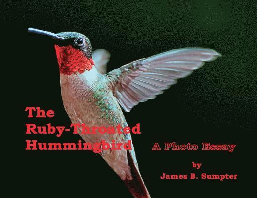 The Ruby-throated Hummingbird 1