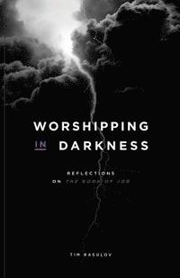 bokomslag Worshipping in Darkness