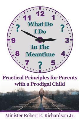 bokomslag What Do I Do In The Meantime?: Practical Principles for Parents with a Prodigal Child