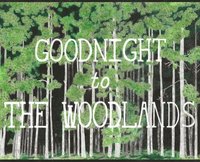 bokomslag Goodnight to The Woodlands