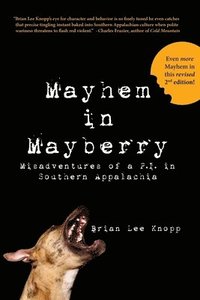 bokomslag Mayhem in Mayberry: Misadventures of a P.I. in Southern Appalachia