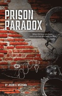 bokomslag Prison Paradox