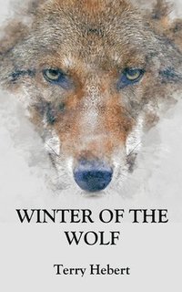 bokomslag Winter of the Wolf