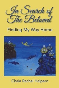 bokomslag In Search of The Beloved