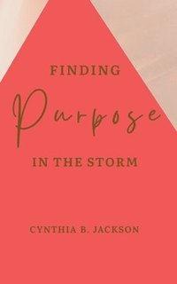 bokomslag Finding Purpose in the Storm
