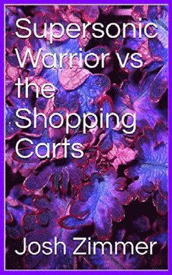 Supersonic Warrior vs the Shopping Carts 1