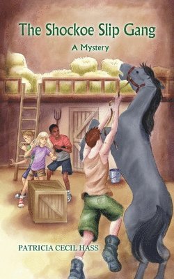 Patricia Cecil Hass - Shockoe Slip Gang, Häftad