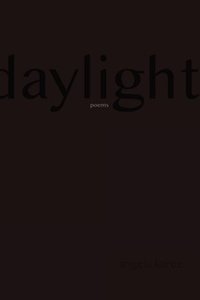 bokomslag Daylight