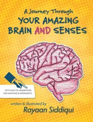 A Journey Through Your Amazing Brain and Senses 1