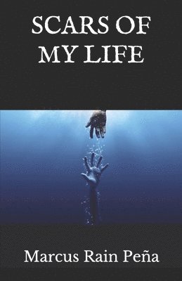 bokomslag Scars of my Life