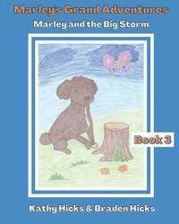 bokomslag Marley and the Big Storm