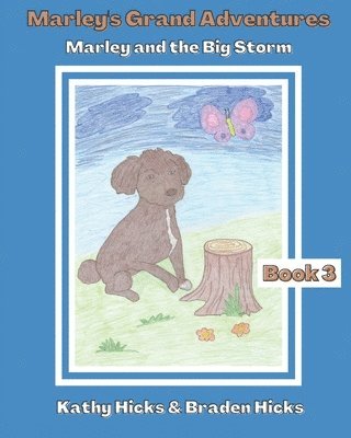 bokomslag Marley and the Big Storm