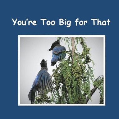 Julene Bailie, Collin Anderson - You're Too Big for That, Häftad