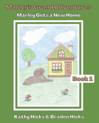bokomslag Marley's Grand Adventures: Marley Gets a New Home
